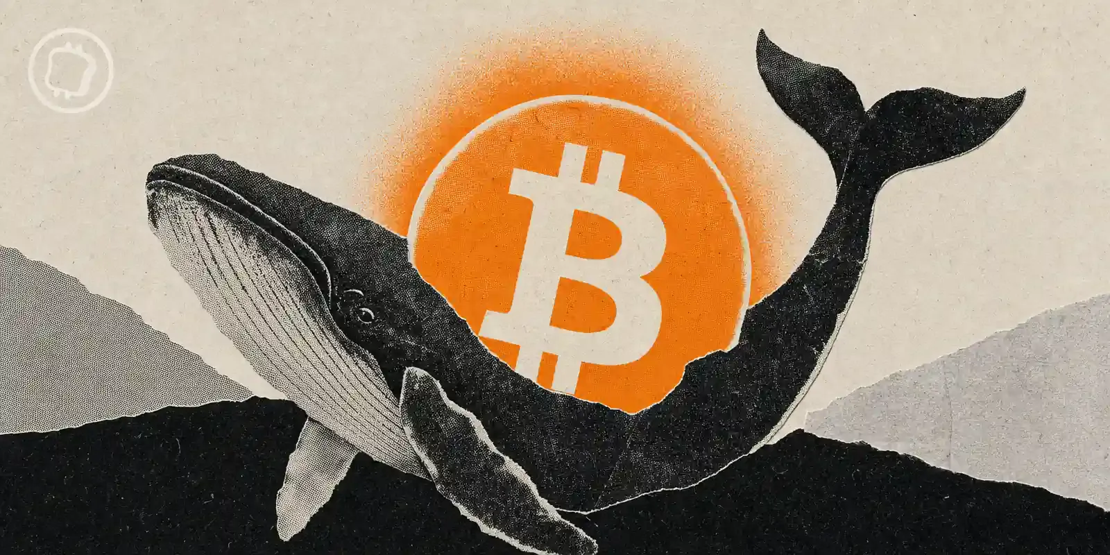 Bitcoin : les grandes adresses accumulent près de 3 milliards de dollars en deux mois