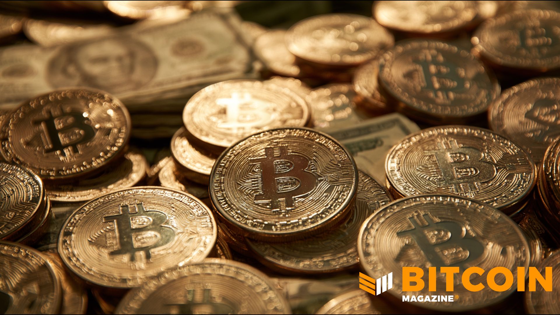 Les institutions conservent leur Bitcoin malgré la chute et augmentent parfois leurs positions